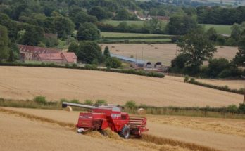 Combine harvester stopped in a wheat field beneath threatening clouds